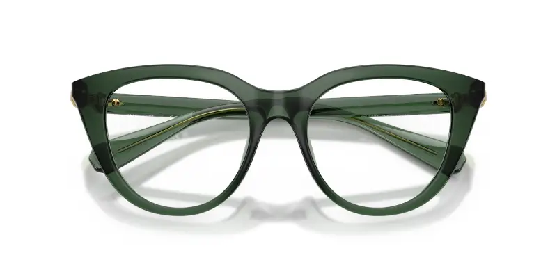 Donna SK2052 1043 Montature da vista Iniettato Verde Trasparente Cat Eye Normale miniatura 2