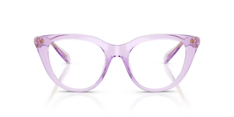 Donna SK2052 1079 Montature da vista Iniettato Viola Trasparente Cat Eye Normale miniatura 3