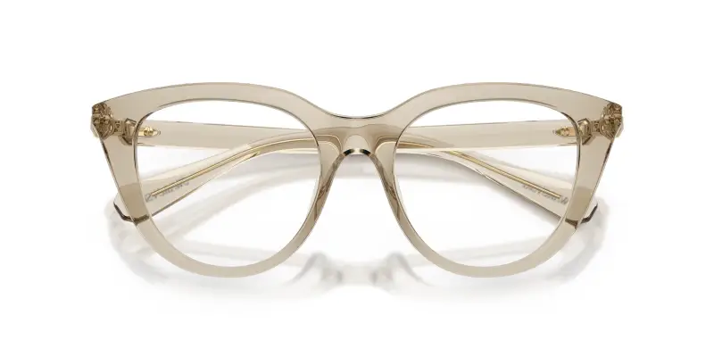 Donna SK2052 3003 Montature da vista Iniettato Marrone Trasparente Cat Eye Normale miniatura 2