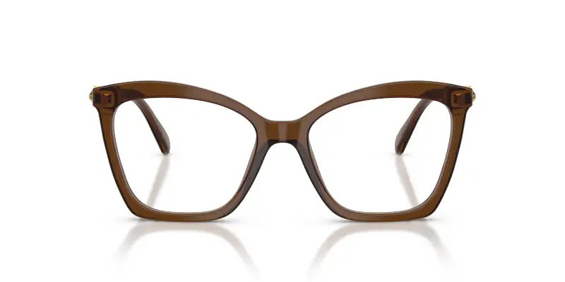 Donna SK2053 1084 Montature da vista Acetato Marrone Trasparente Cat Eye Normale miniatura 3