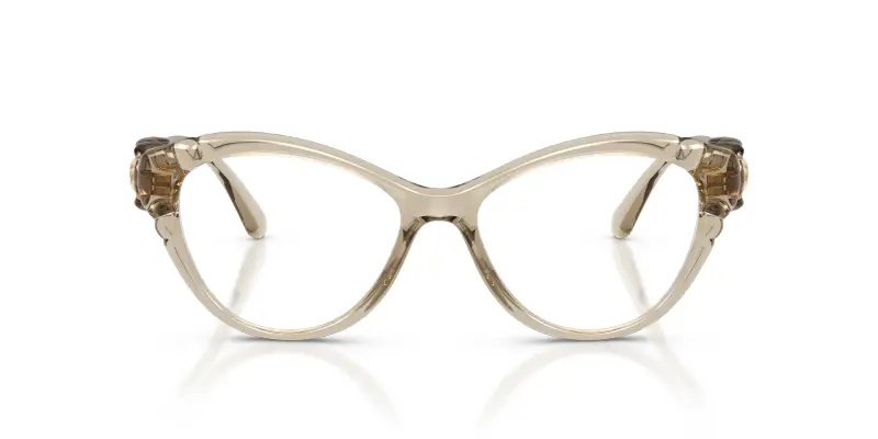 Donna SK2057 3003 Montature da vista Iniettato Marrone Trasparente Cat Eye Normale miniatura 3