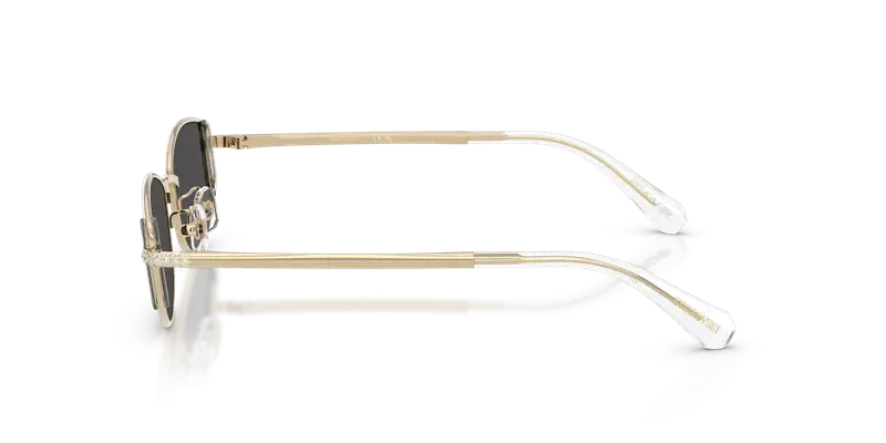 Swarovski Occhiali da sole Donna Grigio 847258 miniatura 3