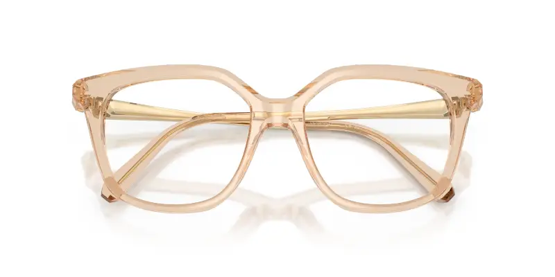 Donna Swarovski SK2059 1092 Montature da vista Acetato Marrone Trasparente Squadrata Normale miniatura 2