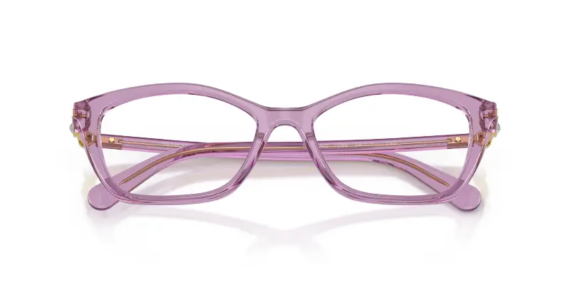 Donna Swarovski SK2065 1096 Montature da vista Acetato Viola Trasparente Pillow Normale miniatura 2