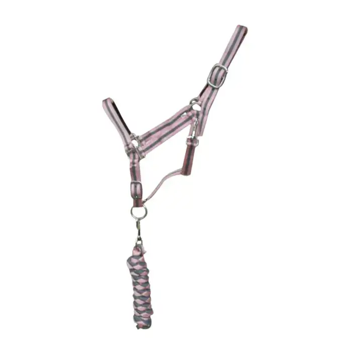 Boccoli per cavallo doppio + guinzaglio T de T