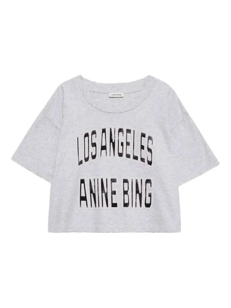 Anine Bing T-shirt Grigio 1047649