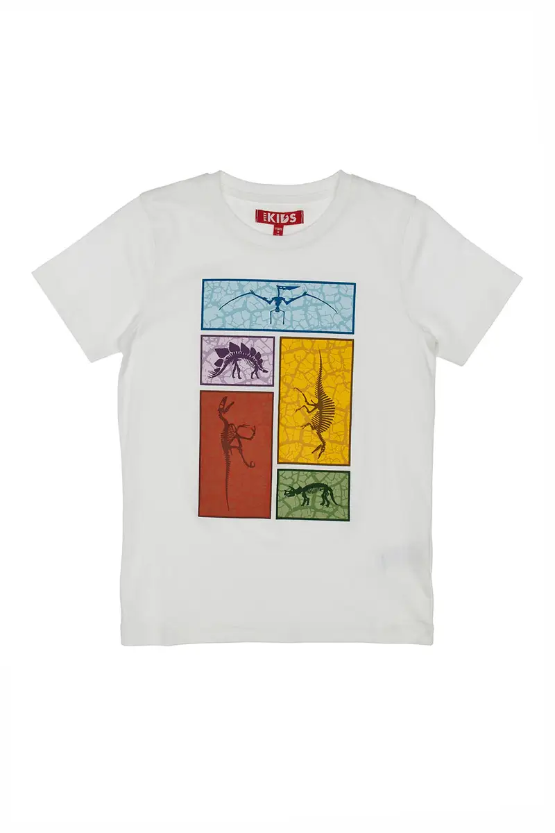 PITT KIDS T-shirt 1949641