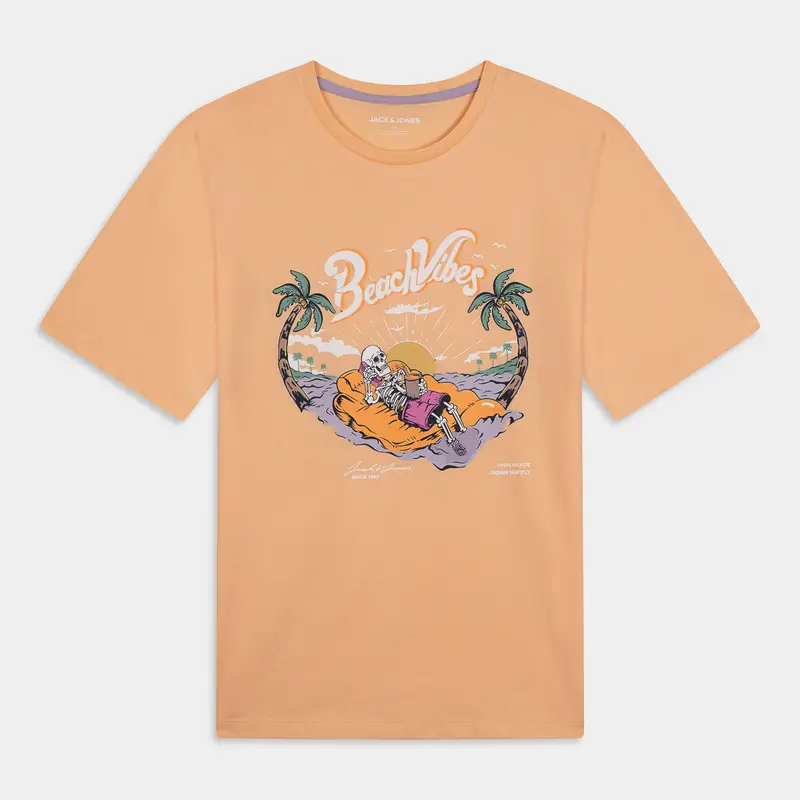 JACK & JONES T-shirt Uomo Multicolore 1980287