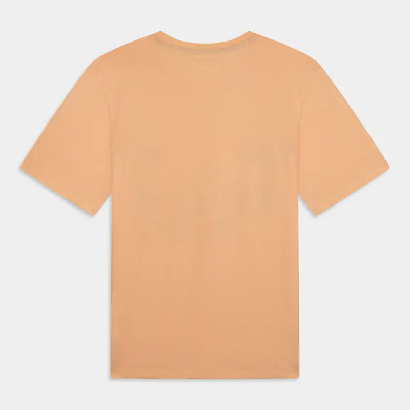 JACK & JONES T-shirt Uomo Multicolore 1980287 miniatura 2