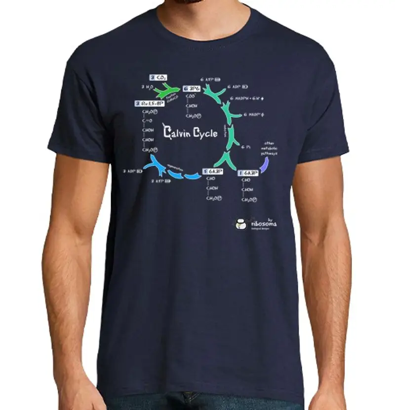 Tostadora T-shirt Uomo 1435448