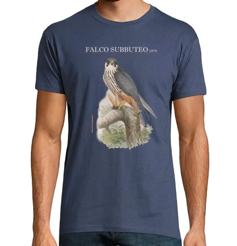 Tostadora T-shirt Uomo Denim 1475327