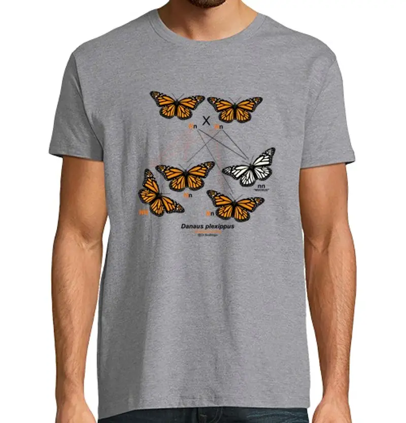 Tostadora T-shirt Uomo 1441275