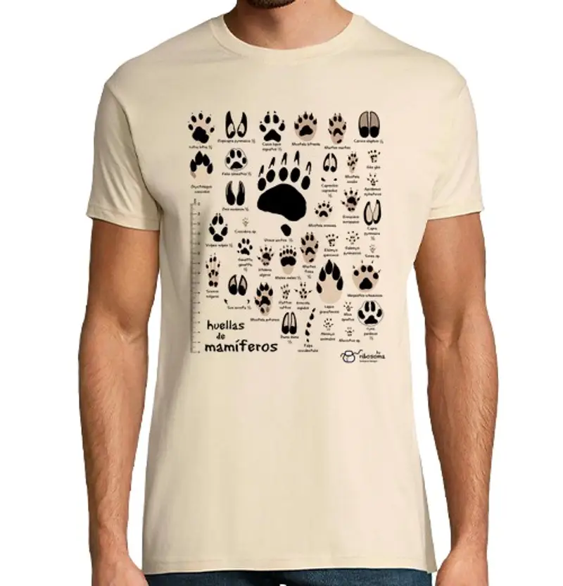 Tostadora T-shirt Uomo 1433595