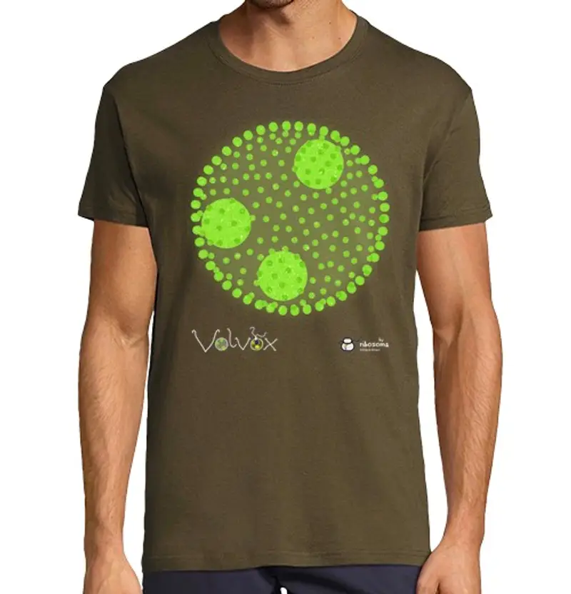 Tostadora T-shirt Uomo 1445235