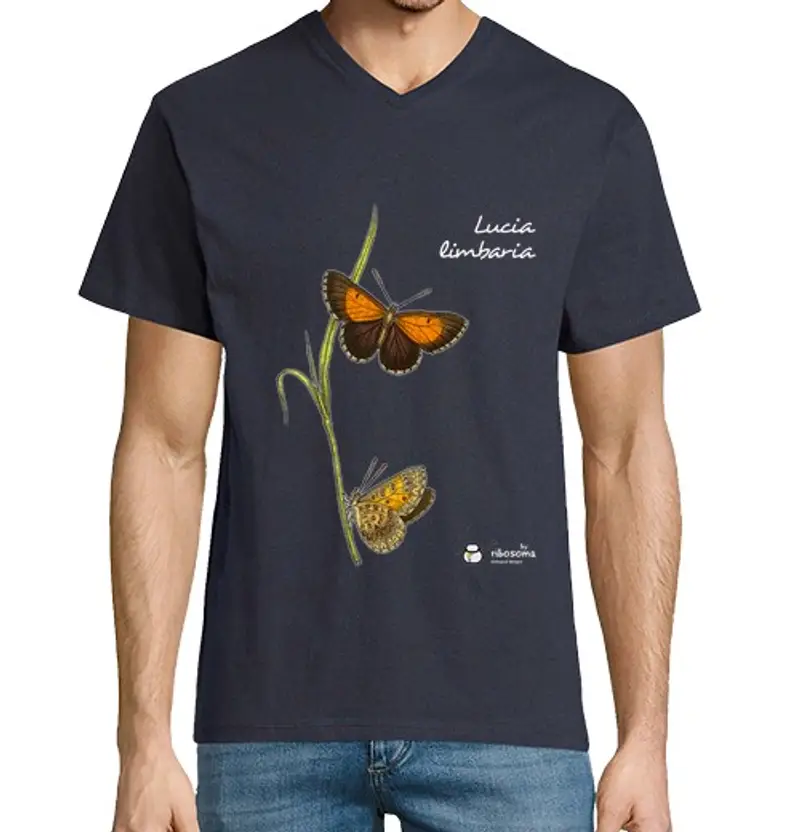 Tostadora T-shirt Uomo 1453048