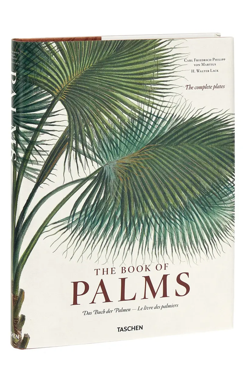 Libro Martius The Book Of Palms Multi