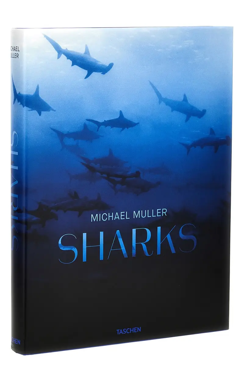Libro 'Michael Muller. Sharks' Azzurro