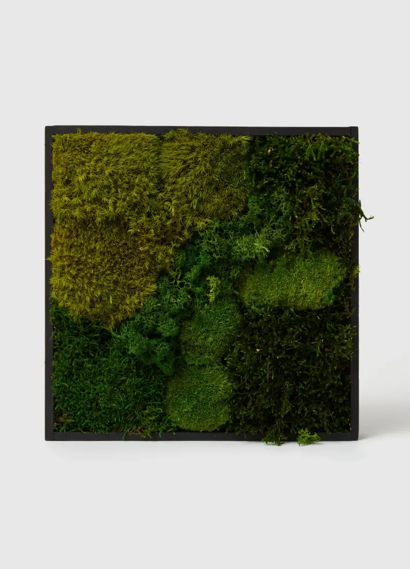 Quadro 30 Giardino Verticale Sempreverde, Donna, Verde miniatura 2