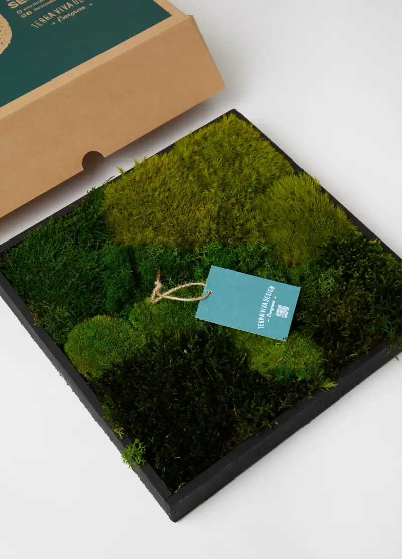 Quadro 30 Giardino Verticale Sempreverde, Donna, Verde miniatura 3