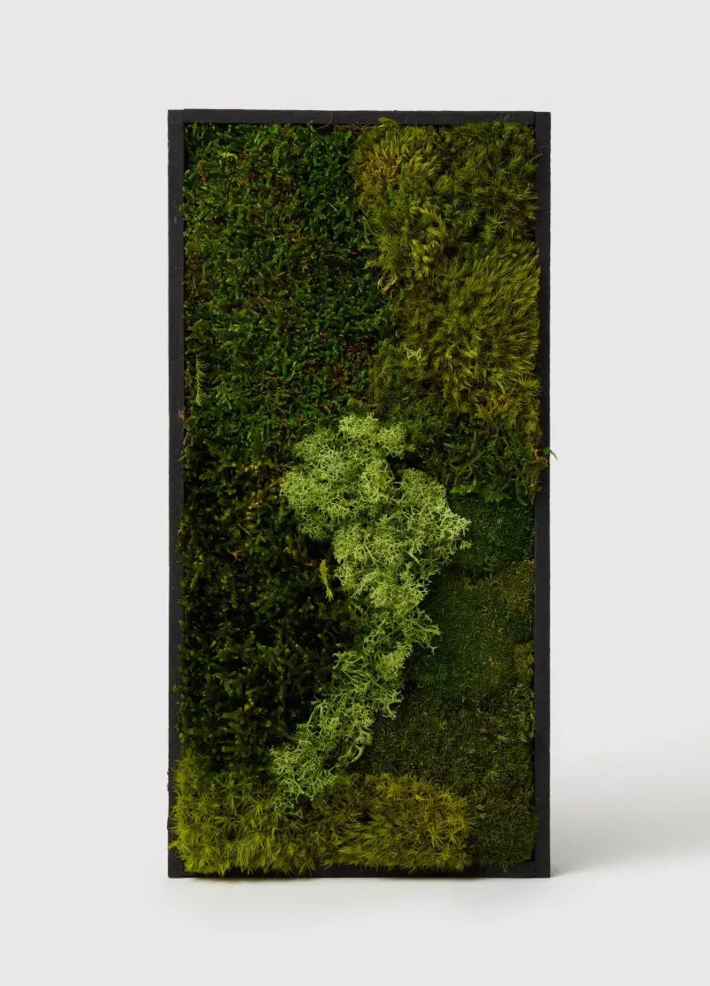 Rettangolo Giardino Verticale Sempreverde, Donna, Verde miniatura 2