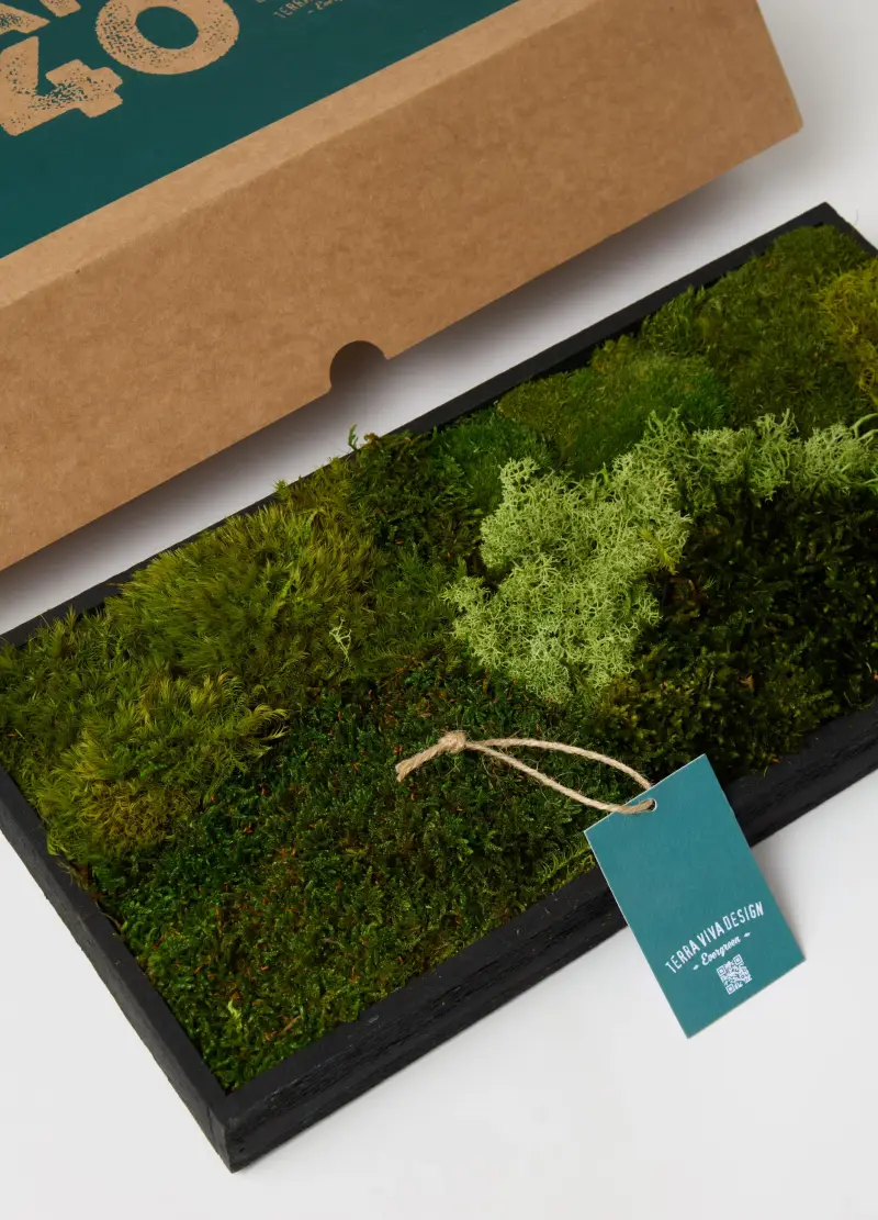 Rettangolo Giardino Verticale Sempreverde, Donna, Verde miniatura 3