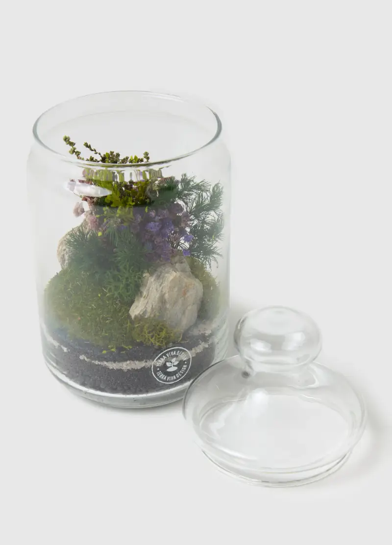 Terrario Evergreen Byron Xs, Donna, Verde miniatura 2