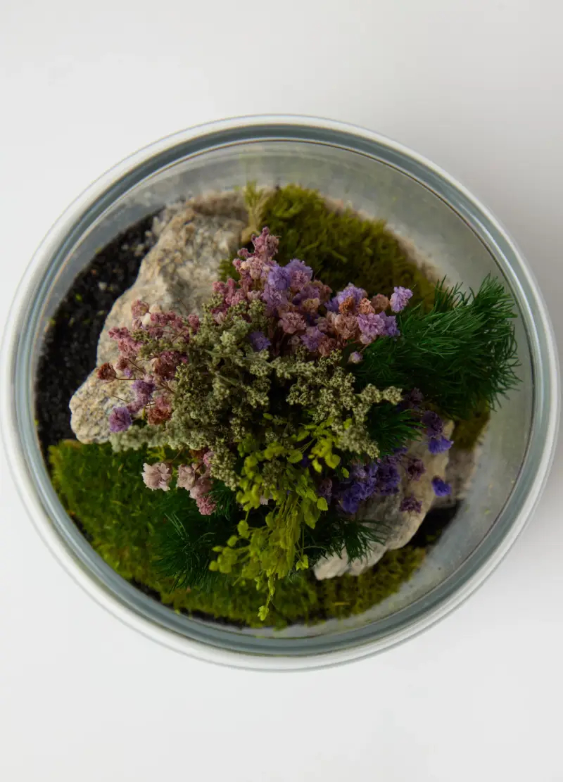 Terrario Evergreen Byron Xs, Donna, Verde miniatura 3