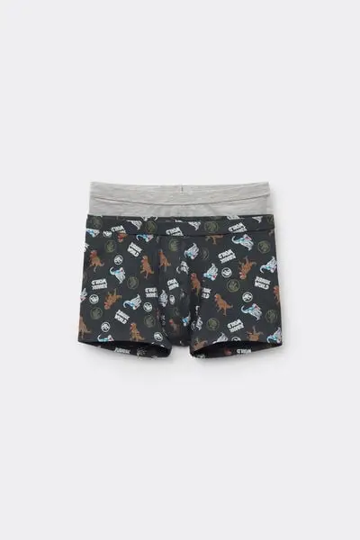 Tezenis Boxer Bambino Grigio 2467191