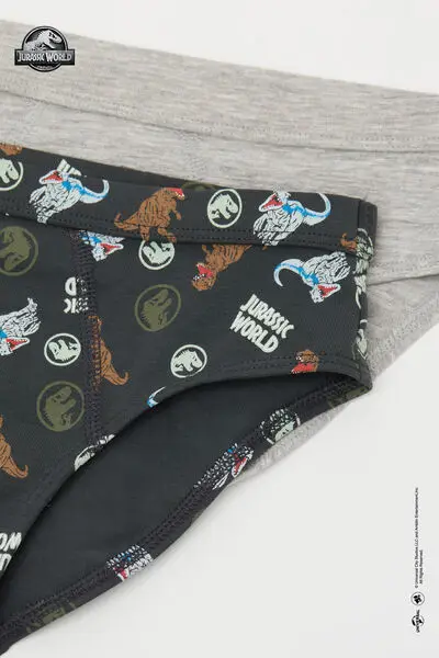 Tezenis Slip Bambino Grigio 2467193 miniatura 2