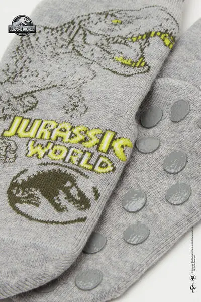 Calzini Antiscivolo Jurassic World Bimbo Bambino Grigio miniatura 2