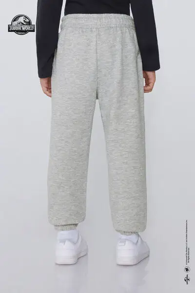 Pantaloni Lunghi Felpa Jurassic World Bambino Grigio miniatura 2