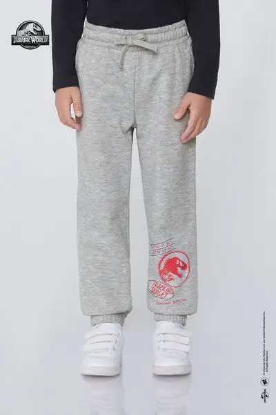 Pantaloni Lunghi Felpa Jurassic World Bambino Grigio