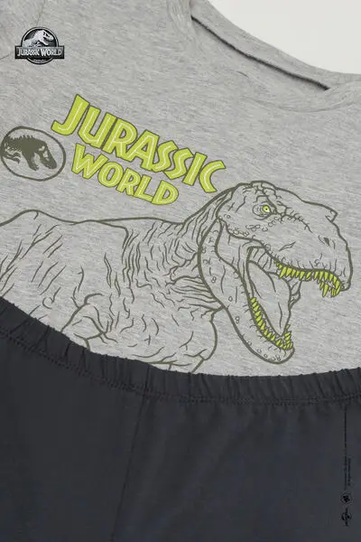 Pigiama Lungo Cotone Stampa Jurassic World Bambino Grigio miniatura 2