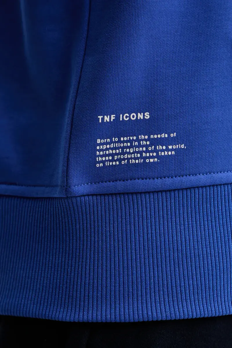 felpa in cotone Icon Relaxed uomo colore blu con cappuccio con applicazione NF0A8EU8CZ61 miniatura 5