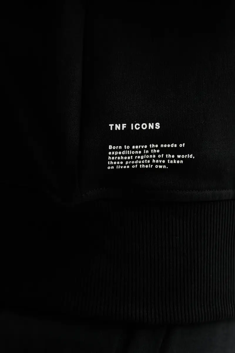 felpa in cotone Icon Relaxed uomo colore nero con cappuccio con applicazione NF0A8EU8JK31 miniatura 5