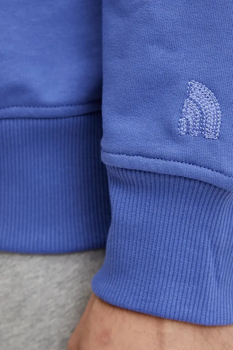 felpa in cotone Relaxed uomo colore violetto con applicazione NF0A8C366IF1 miniatura 5