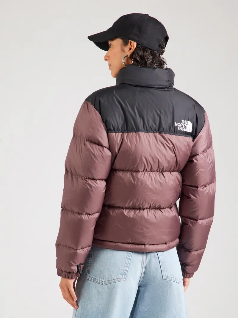Giacca invernale '1996 Retro Nuptse' marrone / nero / bianco miniatura 3