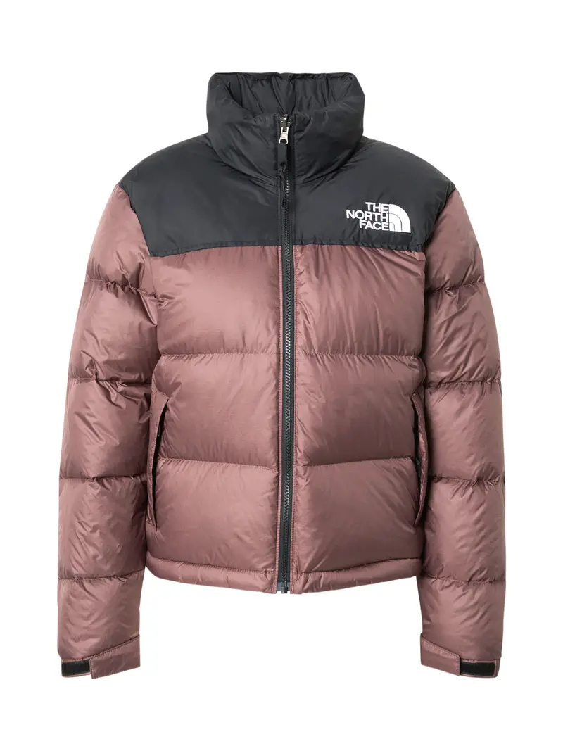Giacca invernale '1996 Retro Nuptse' marrone / nero / bianco