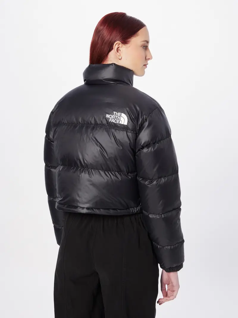 THE NORTH FACE Giacca invernale 'Nuptse' nero / argento miniatura 2