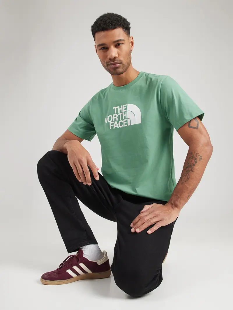 Maglietta EVOLUTION HALF DOME verde / bianco miniatura 2