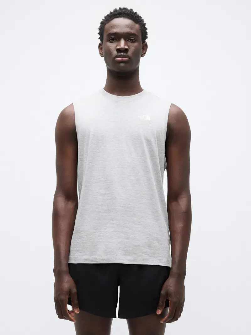 Maglietta EVOLUTION SIMPLE DOME grigio chiaro / bianco miniatura 2