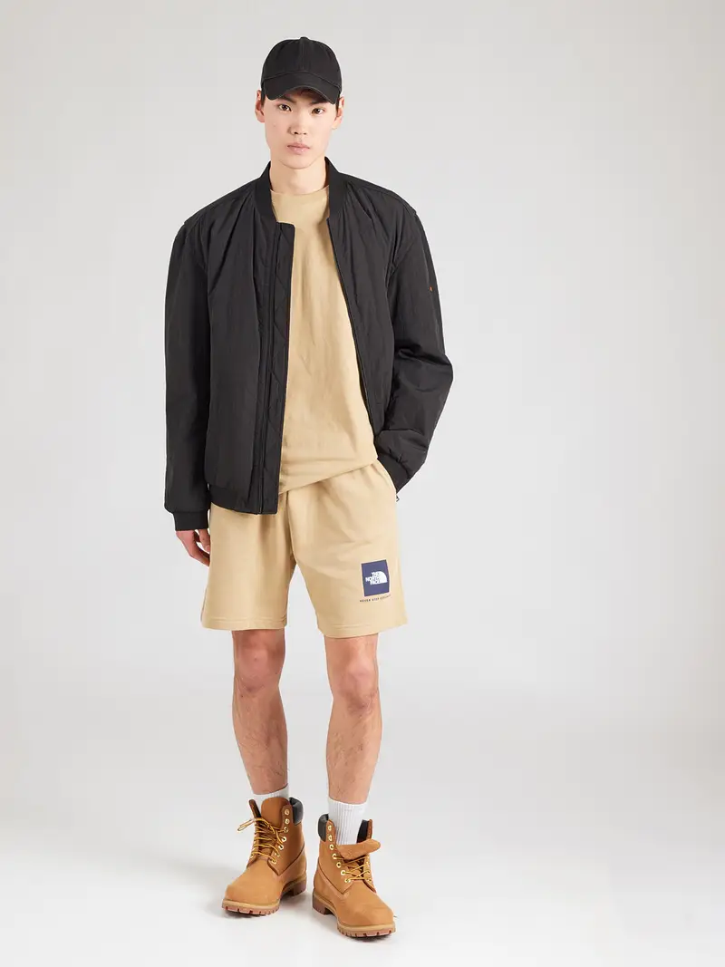 Maglietta NORTH FACES zappiro / cachi / kiwi / bianco miniatura 3