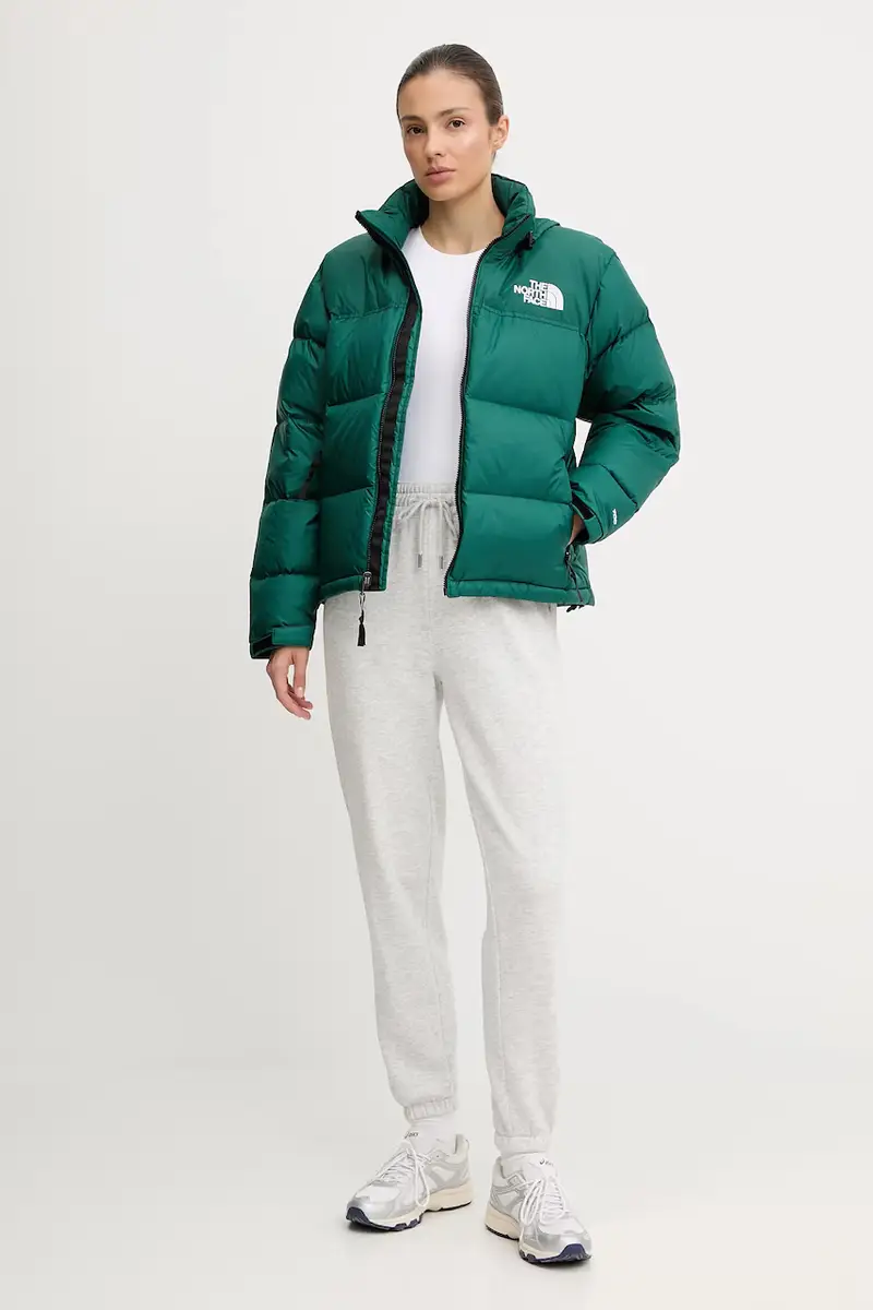 piumino 1996 Retro Nuptse colore verde NF0A3XEO1KI1 miniatura 2