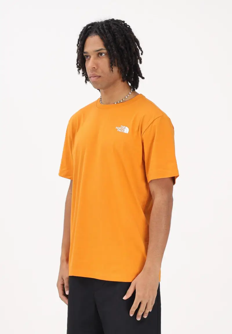 T-shirt a manica corta Evolution NSE Box Regular arancione da uomo