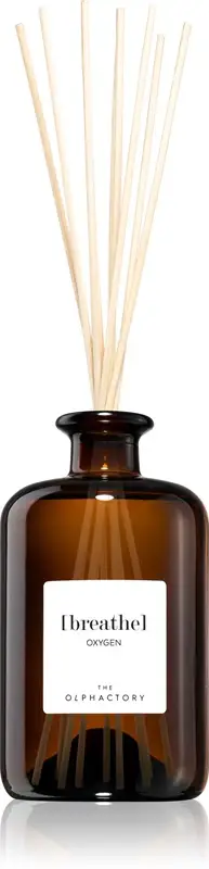 Ambientair The Olphactory Oxygen diffusore di aromi 500 ml