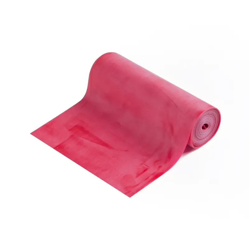 Banda di resistenza terapeutica Thera-Band