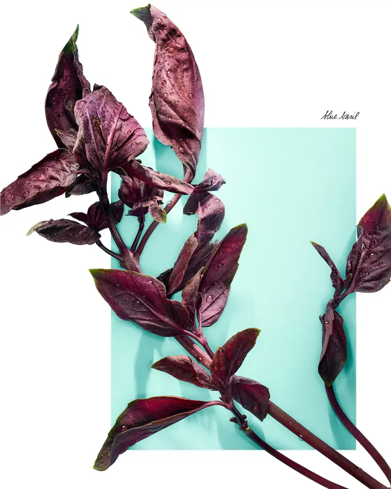 Tiffany & Co. Eau de Parfum Donna Blu 3054126 miniatura 5