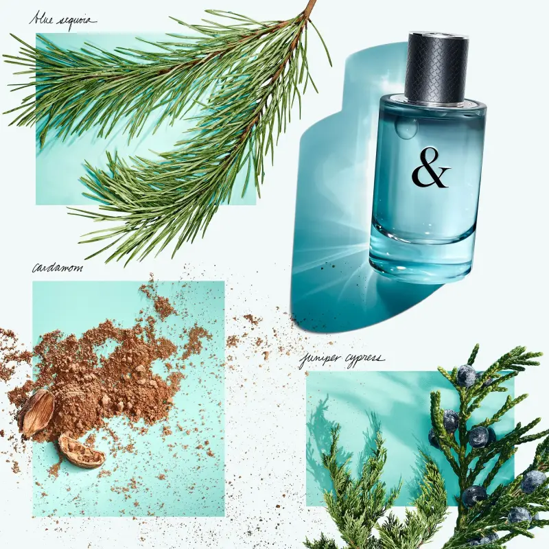 Tiffany & Co. Eau de Toilette Uomo 3072136 miniatura 4