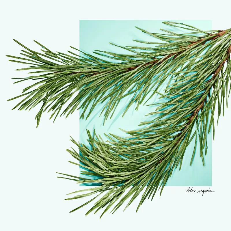 Tiffany & Co. Eau de Toilette Uomo 3072136 miniatura 5