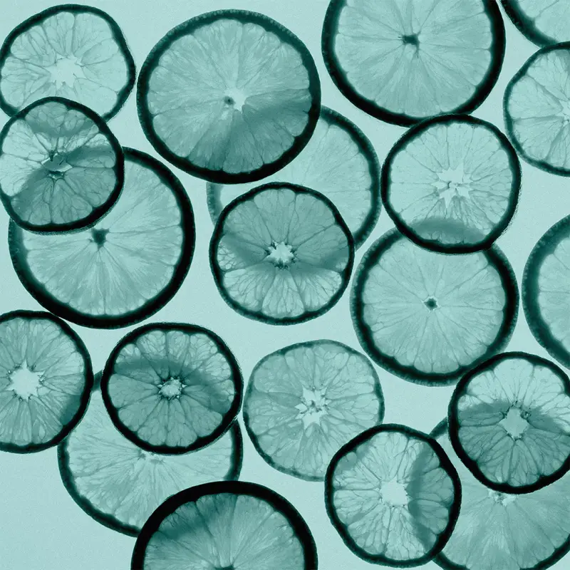 Tiffany & Co. Eau de Parfum Donna Verde 3061537 miniatura 5